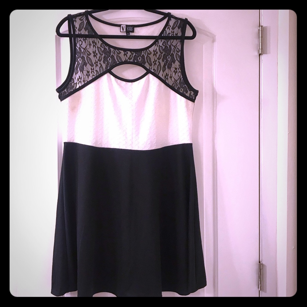 Vibe black and white Lace Skater mini Dress